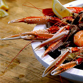 Commande de plateaux de fruits de mer Morbihan