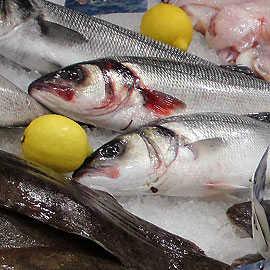 Poissons des pêcheurs de Bretagne