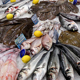 Des poissons nobles chez votre poissonnier de Guer